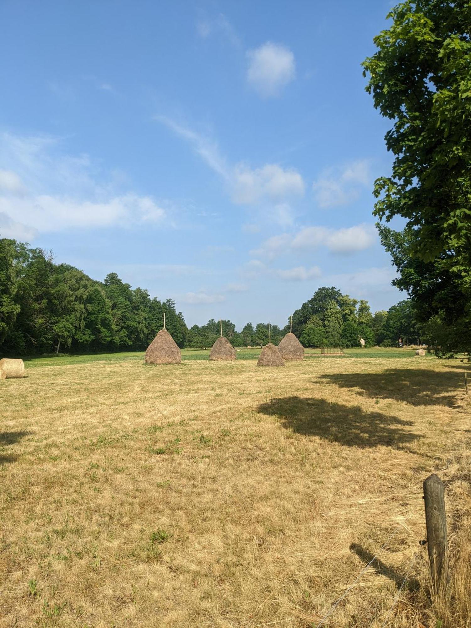 Am Waldrand Spreewald Hotel Burg  Buitenkant foto